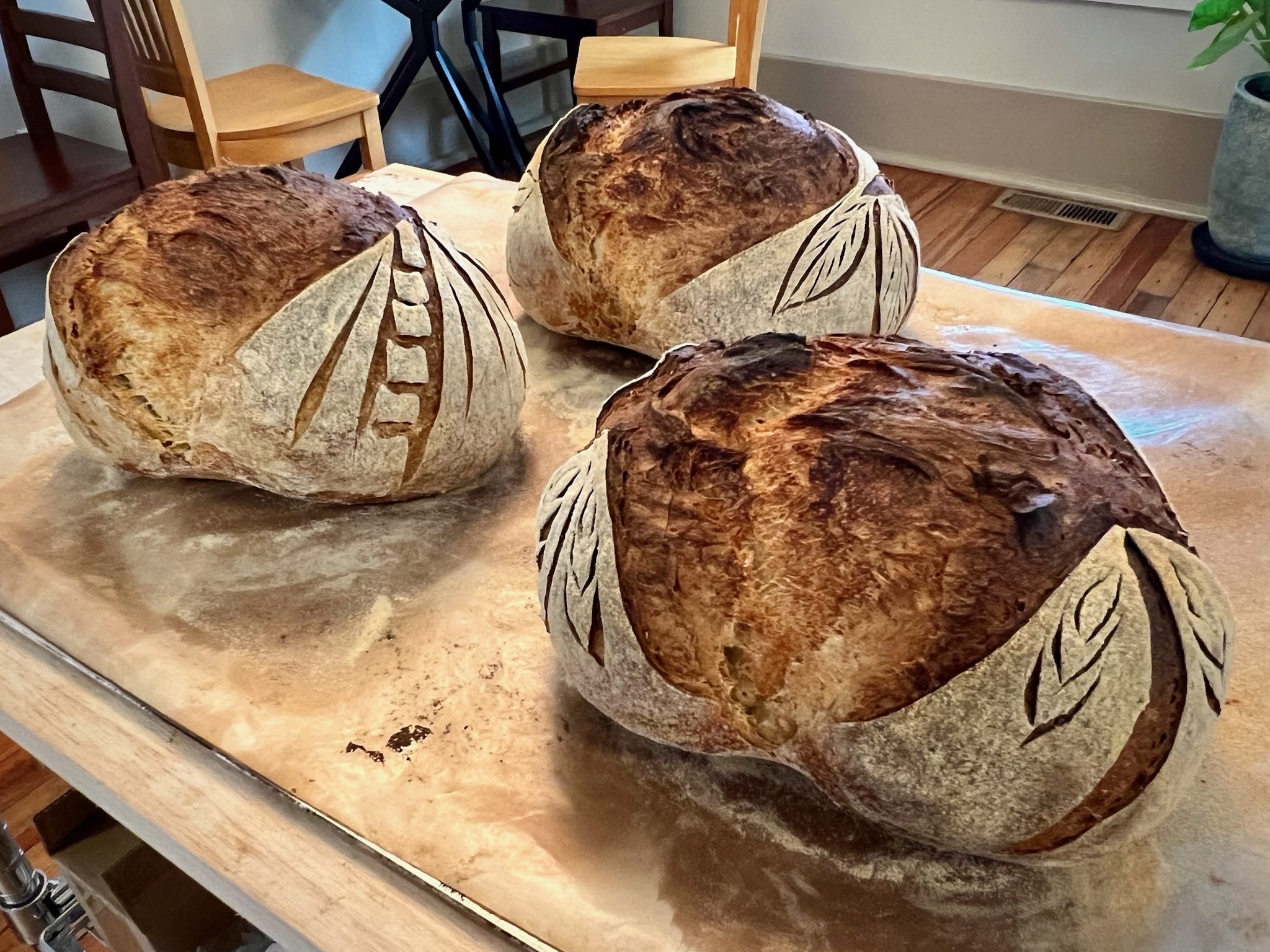 Sourdough crackling from the oven