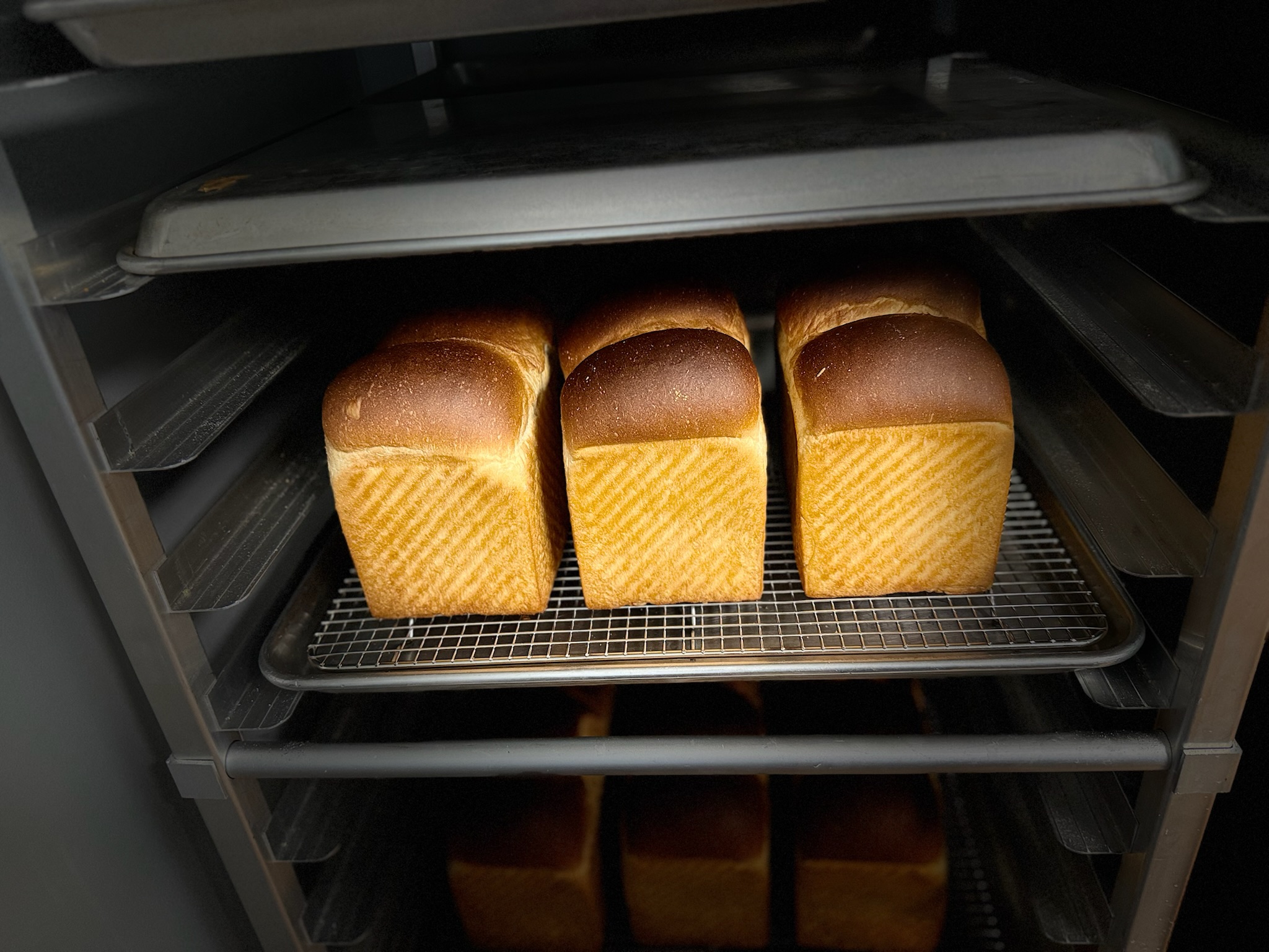 Shokupan in the oven, ready to come out!